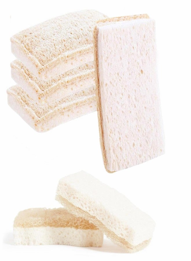 Loofah Dish Sponges Kitchen,Organic Natural Sponges for Dishes,Non Scratch Eco Friendly Biodegradable Cleaning, for Pans, Glass & Delicate Cookware,6PCS